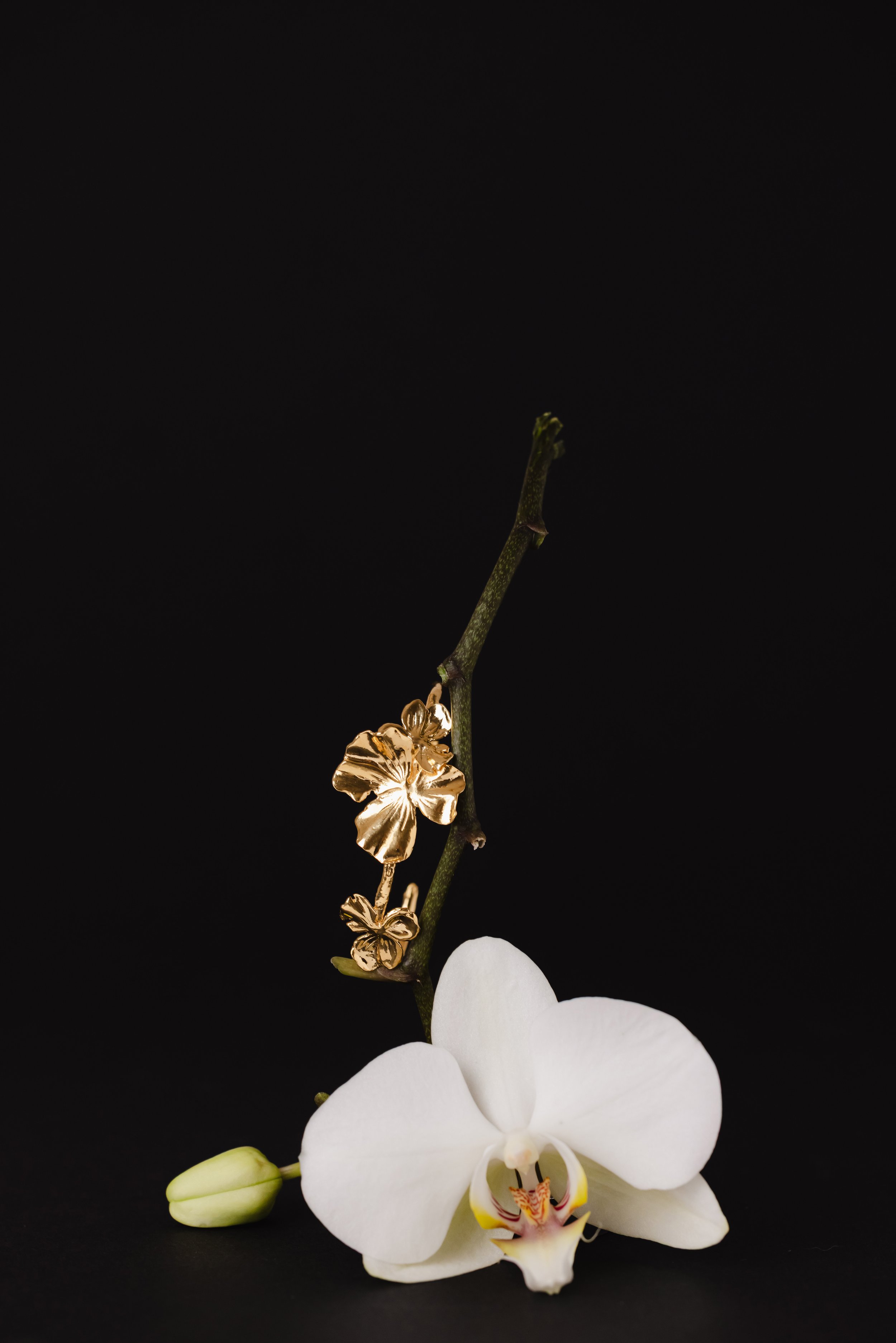 Bracelet à motif floral en or posé sur une orchidée sur fond noir