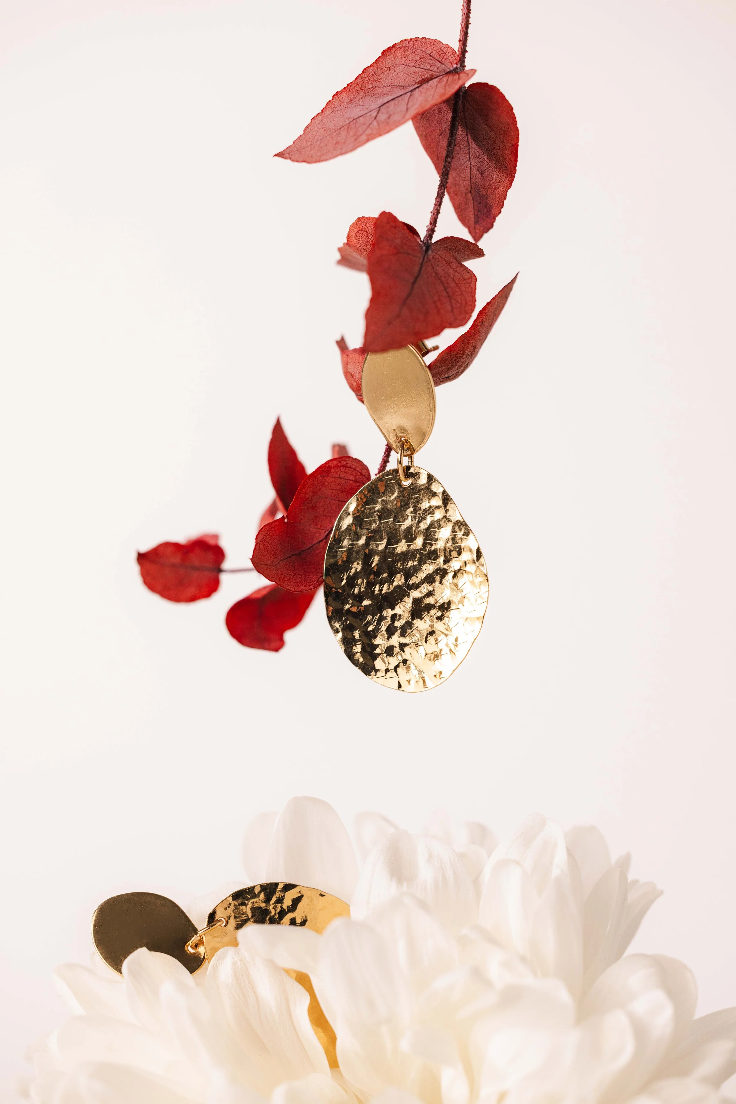 Nature morte d'une boucle d'oreille en or suspendu sur une branche rouge au dessus d'une fleur blanche