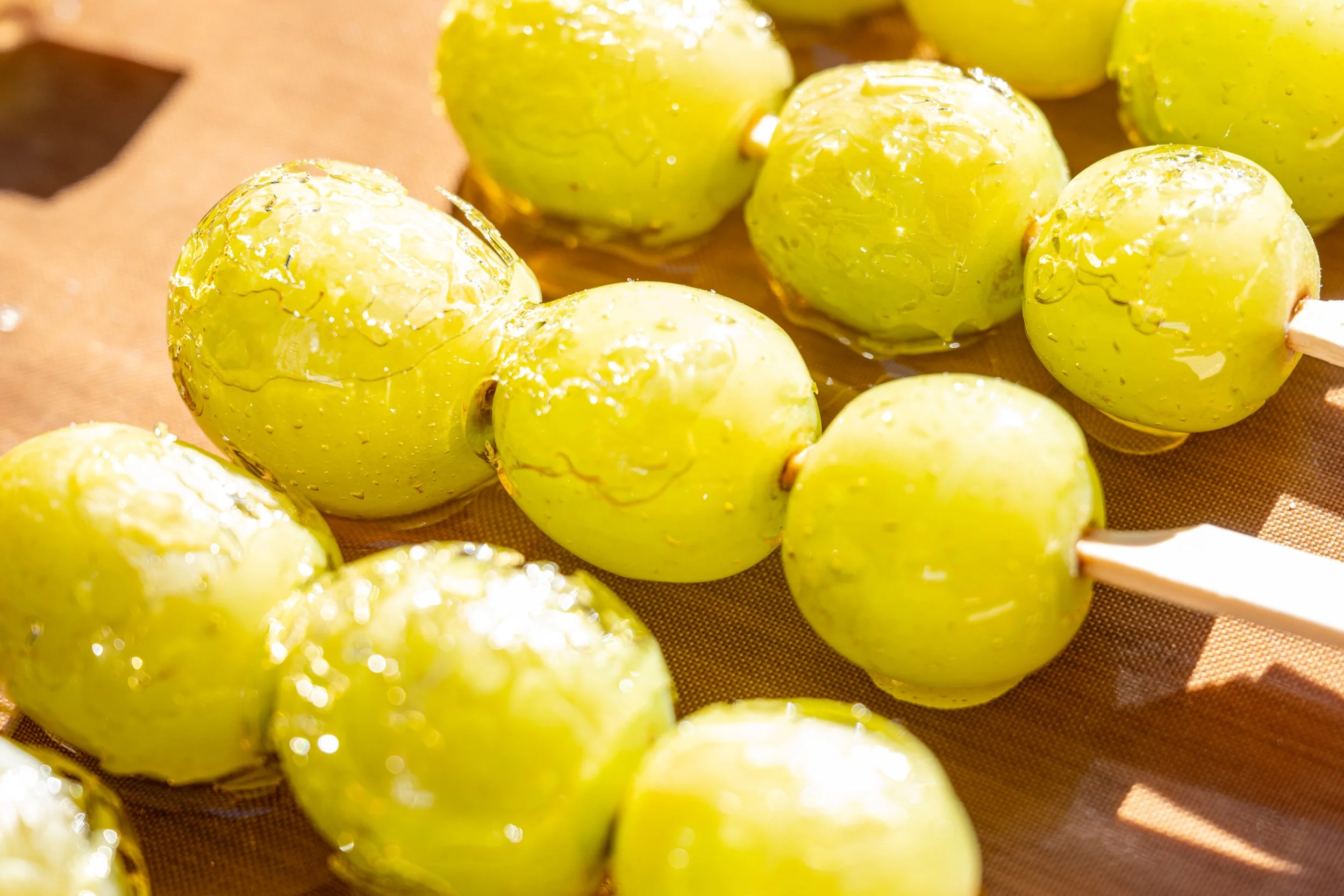 Copy of ELS_8344.jpg