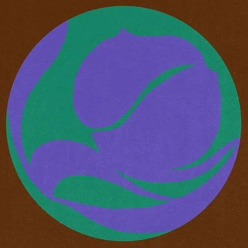 Un disegno stilizzato di un fiore all'interno di un cerchio, con colori blu, verde e viola su sfondo marrone.