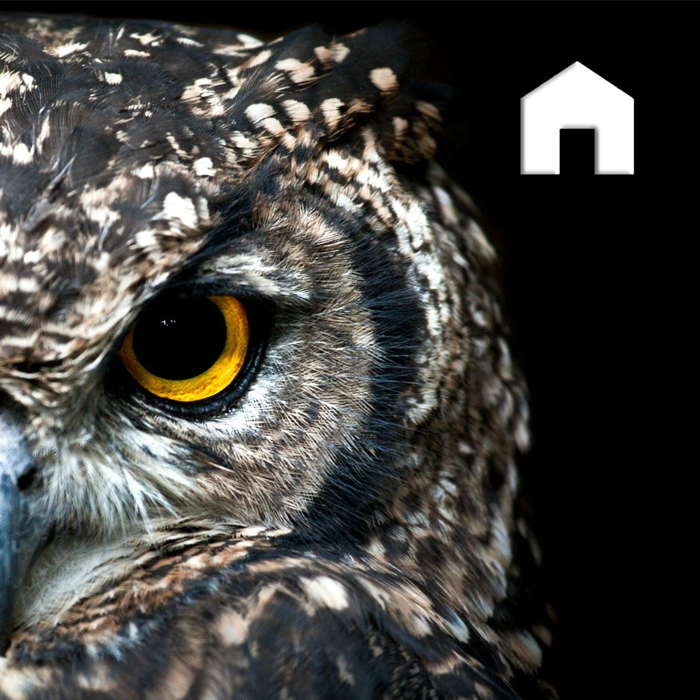 🏠 Your inspection HQ, right at your fingertips.

The Home screen shows all your inspections in progress &mdash; and with a LONG HOLD, you can easily delete reports you no longer need. ⏱️📱

Stay organized, stay efficient, and keep your workflow smoo