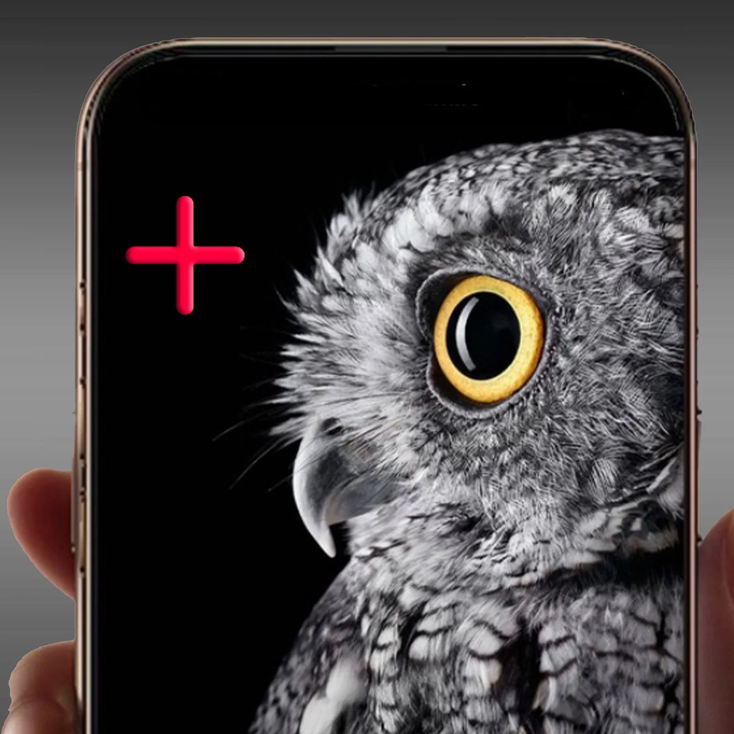 🚀 Ready. Set. Inspect.

Hit the Big Red Plus to start an inspection. Just choose a template and go &mdash; it&rsquo;s that fast. 📱⏱️

No setup stress, no wasted time. Just smart, efficient inspections from the jump.

#TechForInspectors #StreamlineY