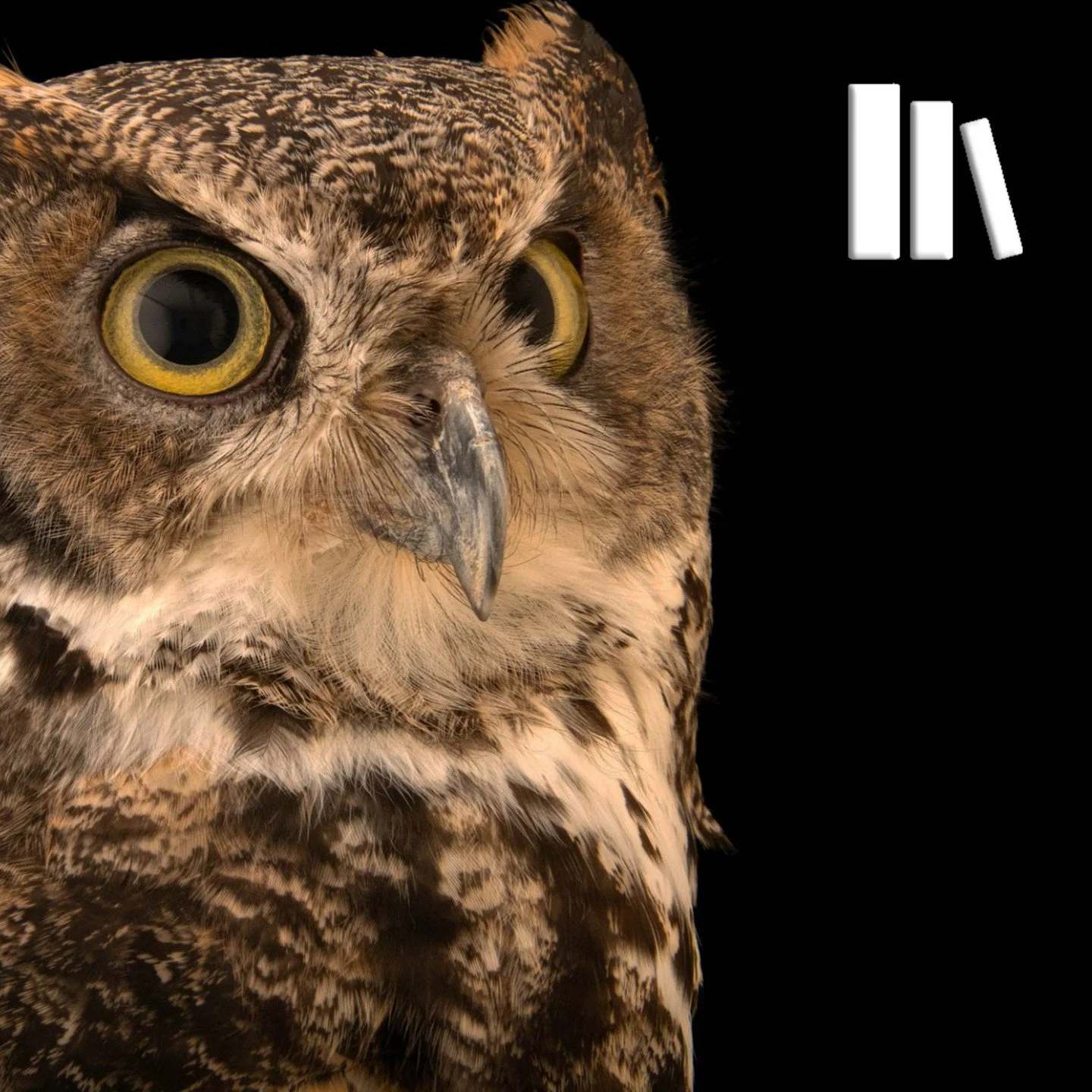 📚 Your inspection toolkit, all in one place.

The Library holds all the elements you need &mdash; whether you&rsquo;re building templates or working through an inspection. 📱⚙️

From components to tips, it&rsquo;s your go-to for working smarter, fas