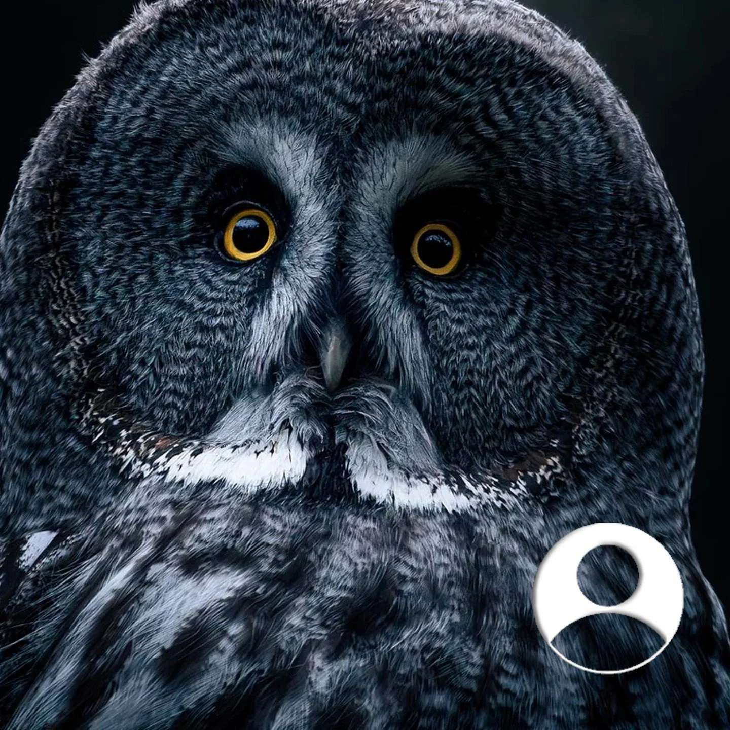 👤 Your profile = your brand.

With the Profile, you can view and edit your personal and business details &mdash; from sharp headshots to a clean, bold logo. 📱💼

📸 Pro tip: Get professional photos, keep your logo tight (no words!), and use this sp