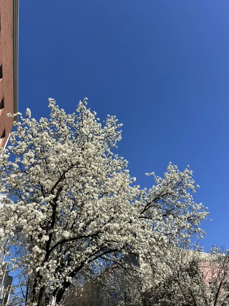 5 Things That Finally Helped Me Stop Avoiding Conflict (and Have the Relationships I’ve Always Wanted)