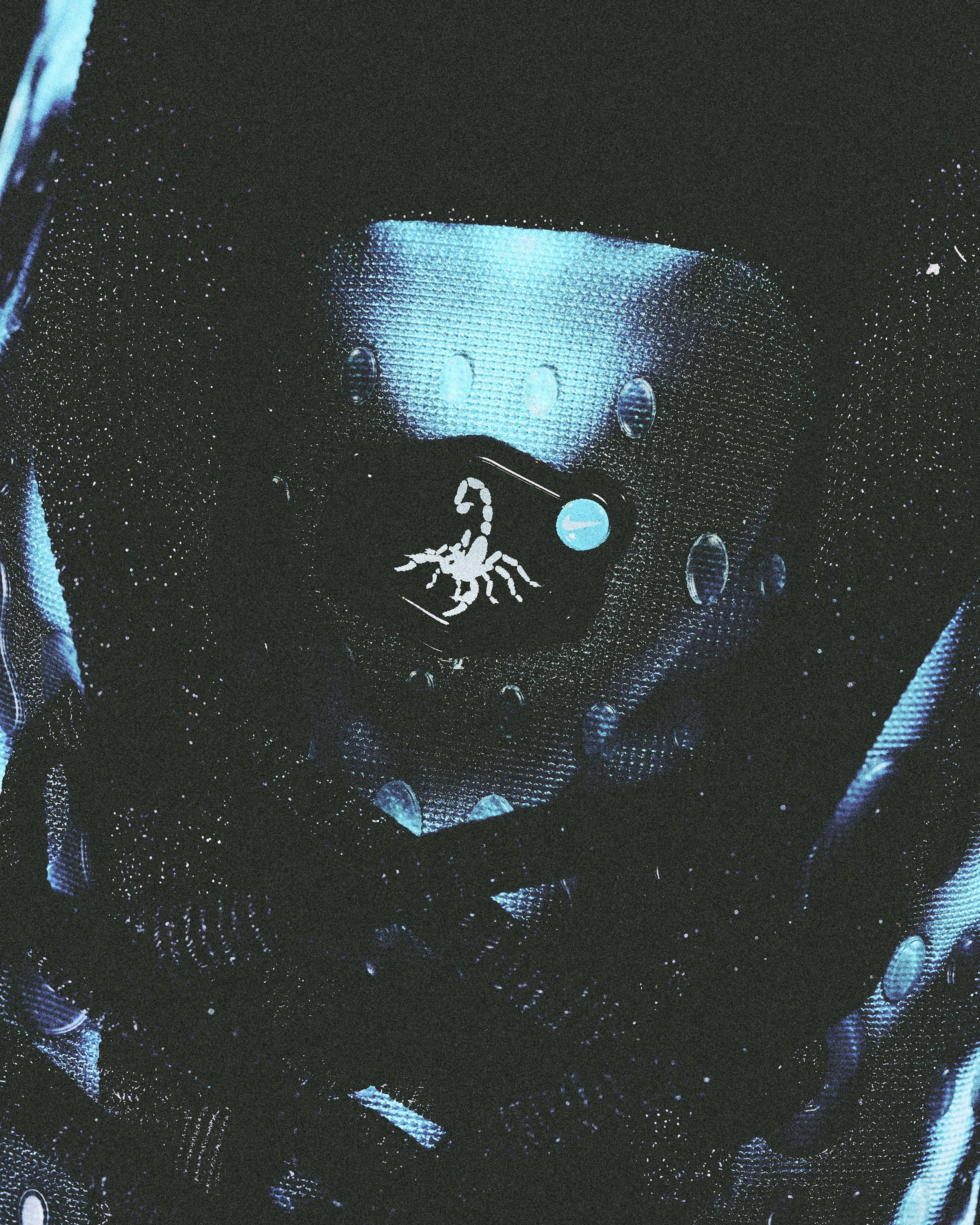 151026_SCORPION1188.jpg