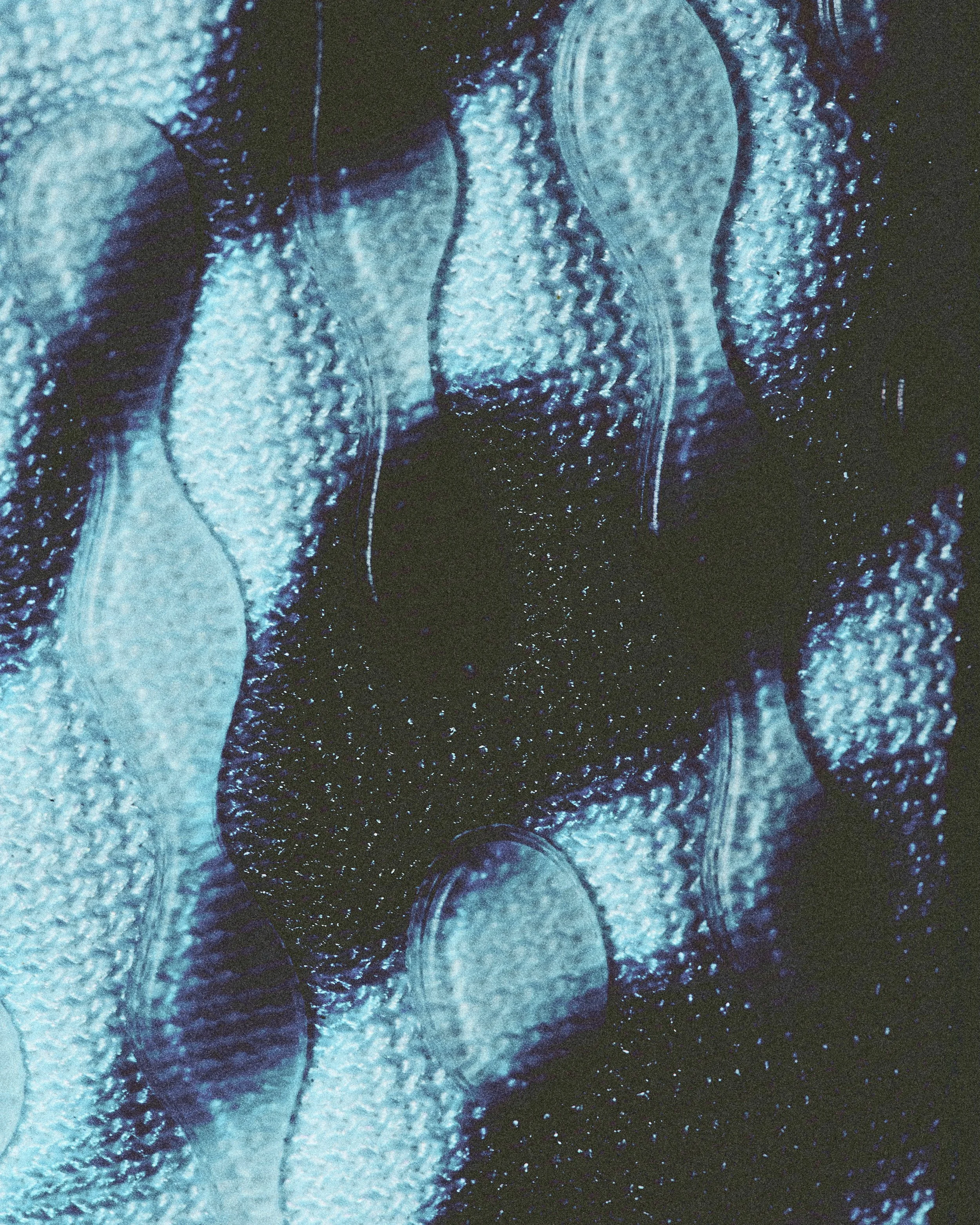 151026_SCORPION1237.jpg