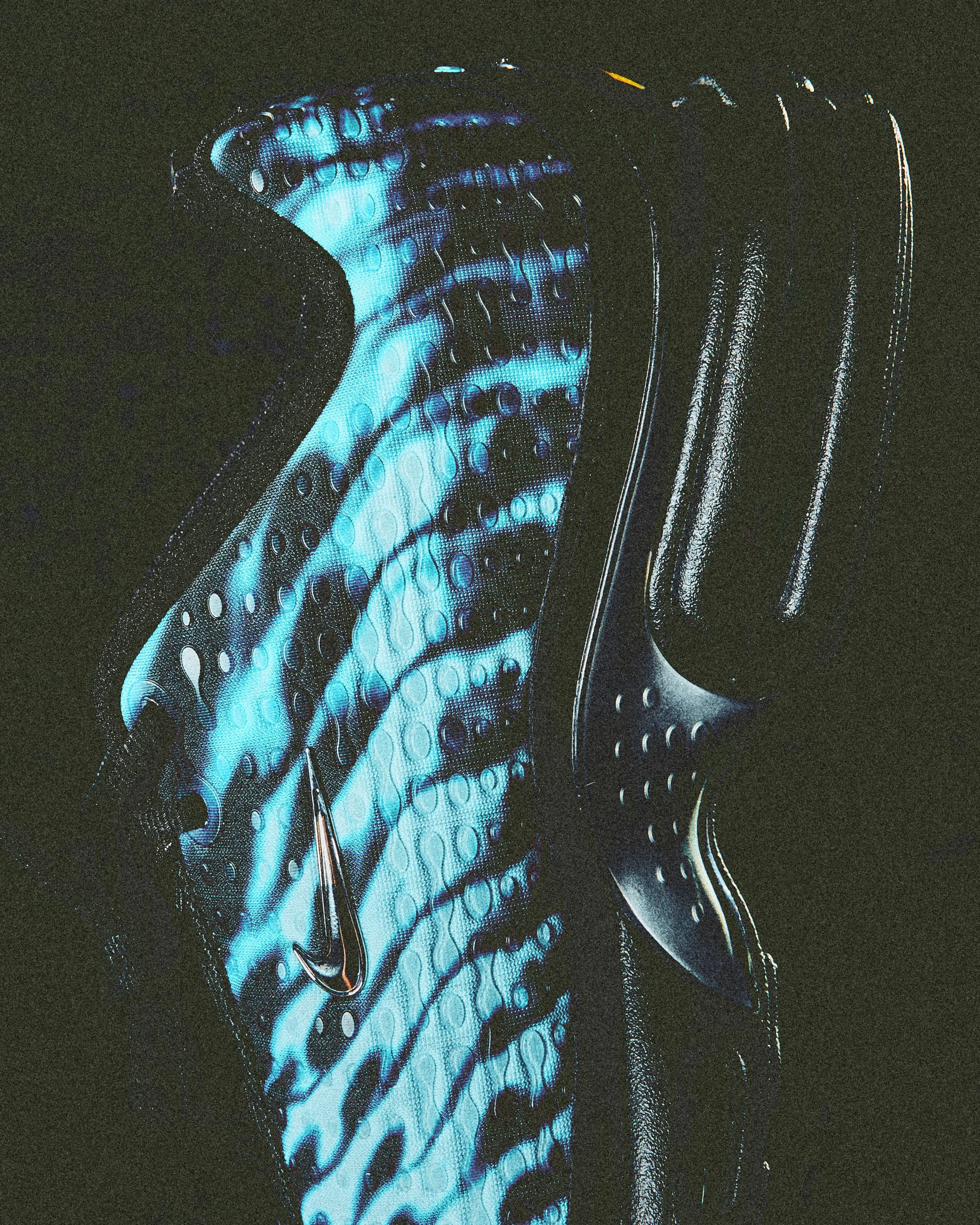 151026_SCORPION1172.jpg