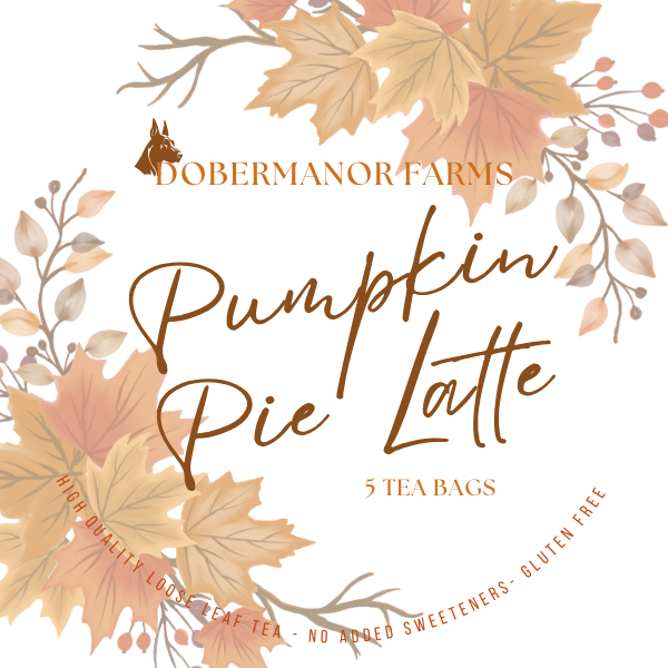 Pumpkin Pie Latte Tea Bag Front Label.png