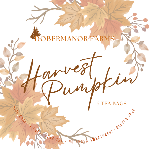 Harvest Pumpkin Tea Bag Front Label.png
