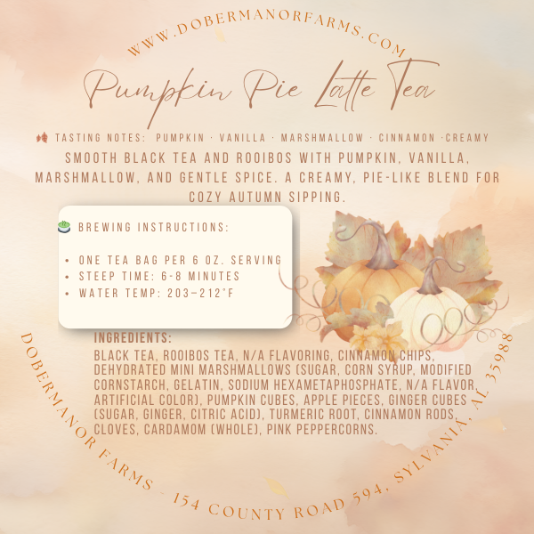 Pumpkin Pie Latte Tea Bag Back Label.png