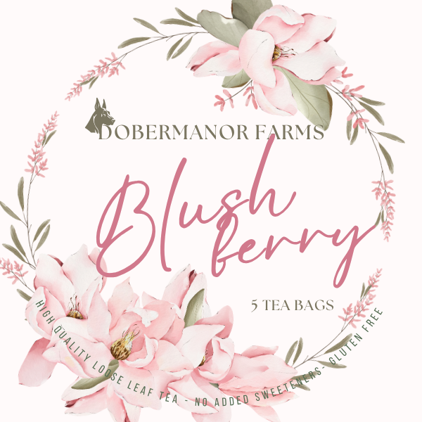 Blushberry Front Label Tea Bags.png