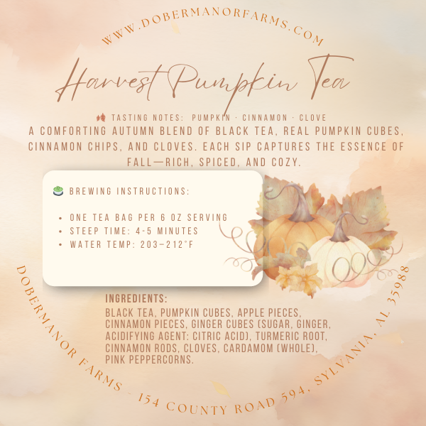 Harvest Pumpkin Tea Bag Back Label.png