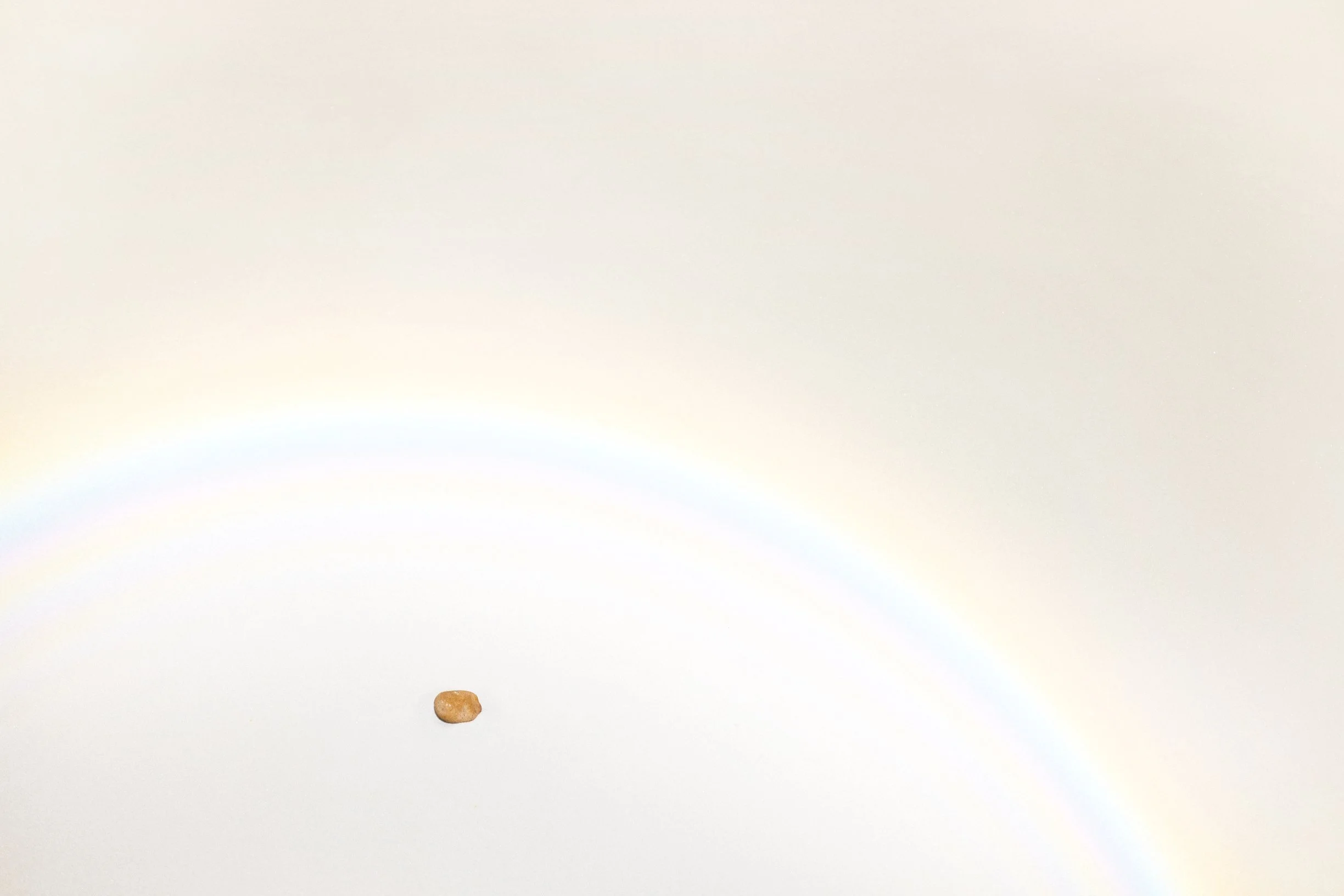 DSCF6345.jpg