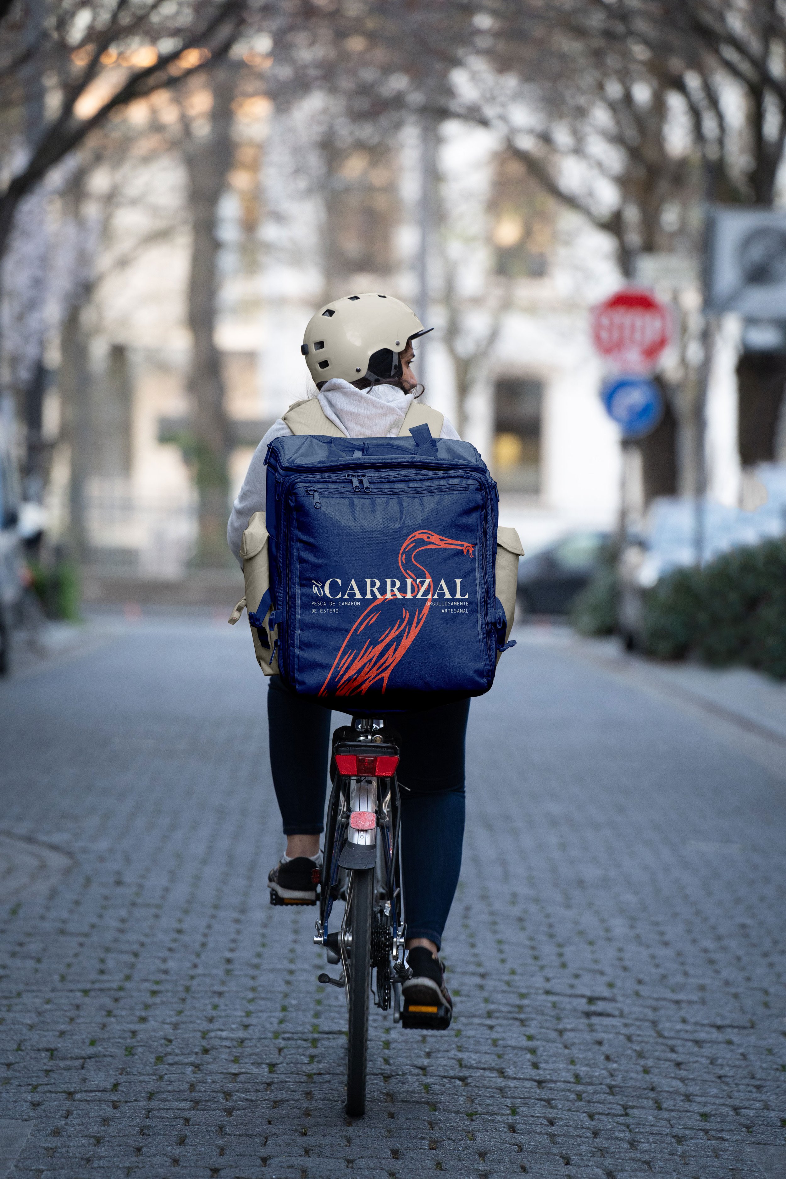 Backpack-Carrizal.jpg