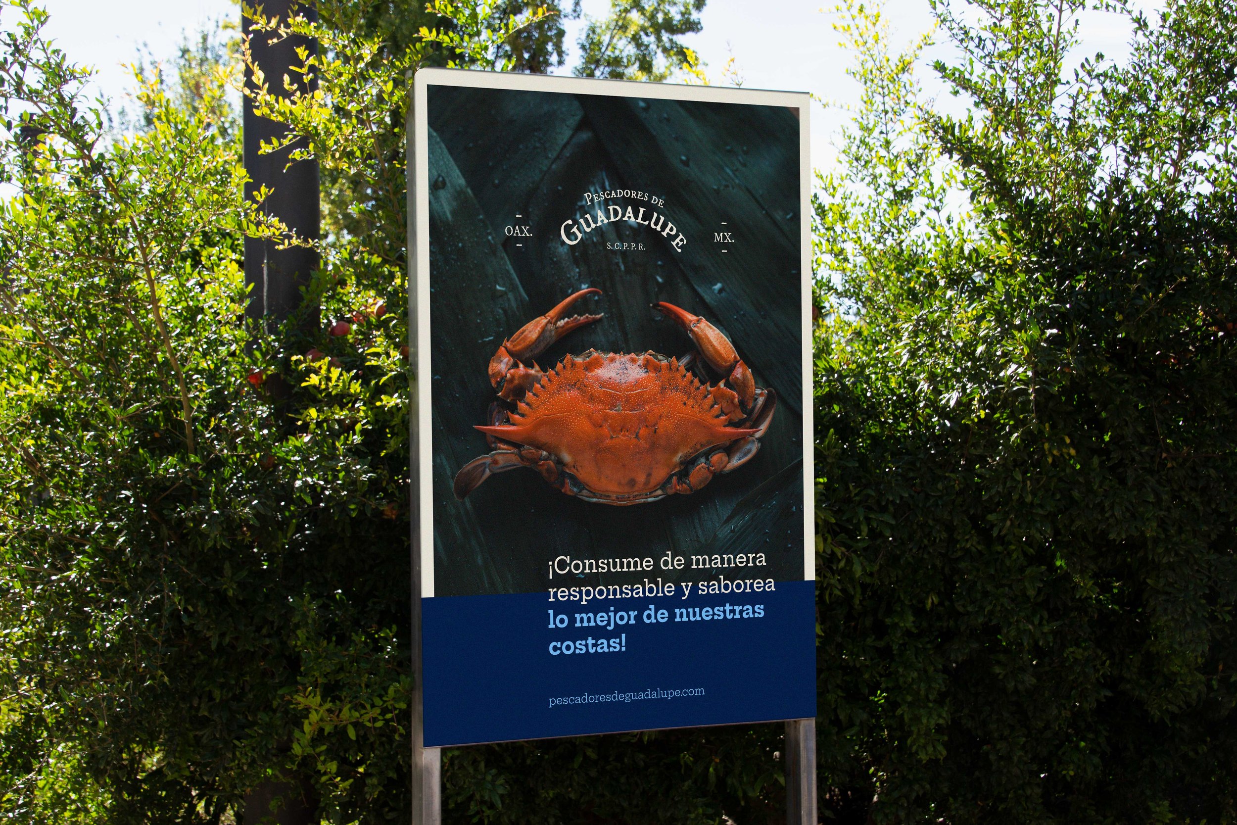 Guadeloupe-Poster-02.jpg