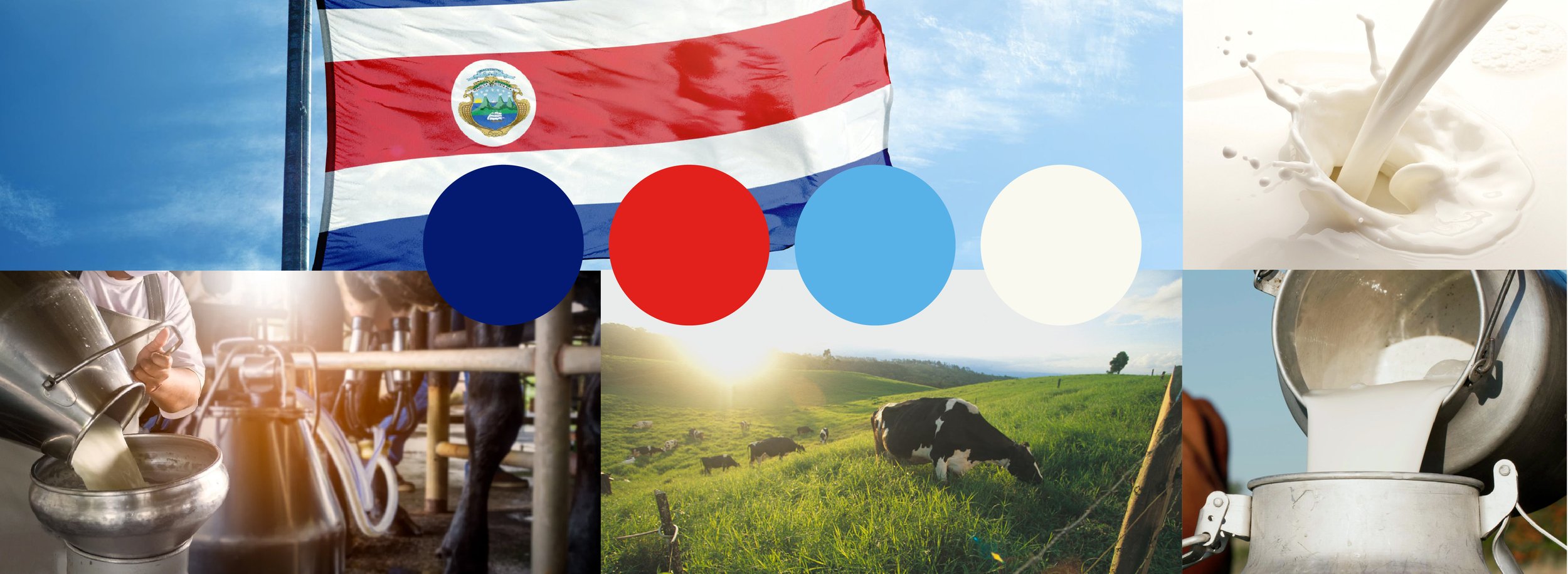 Costa Rican Chamber of Milk Producers