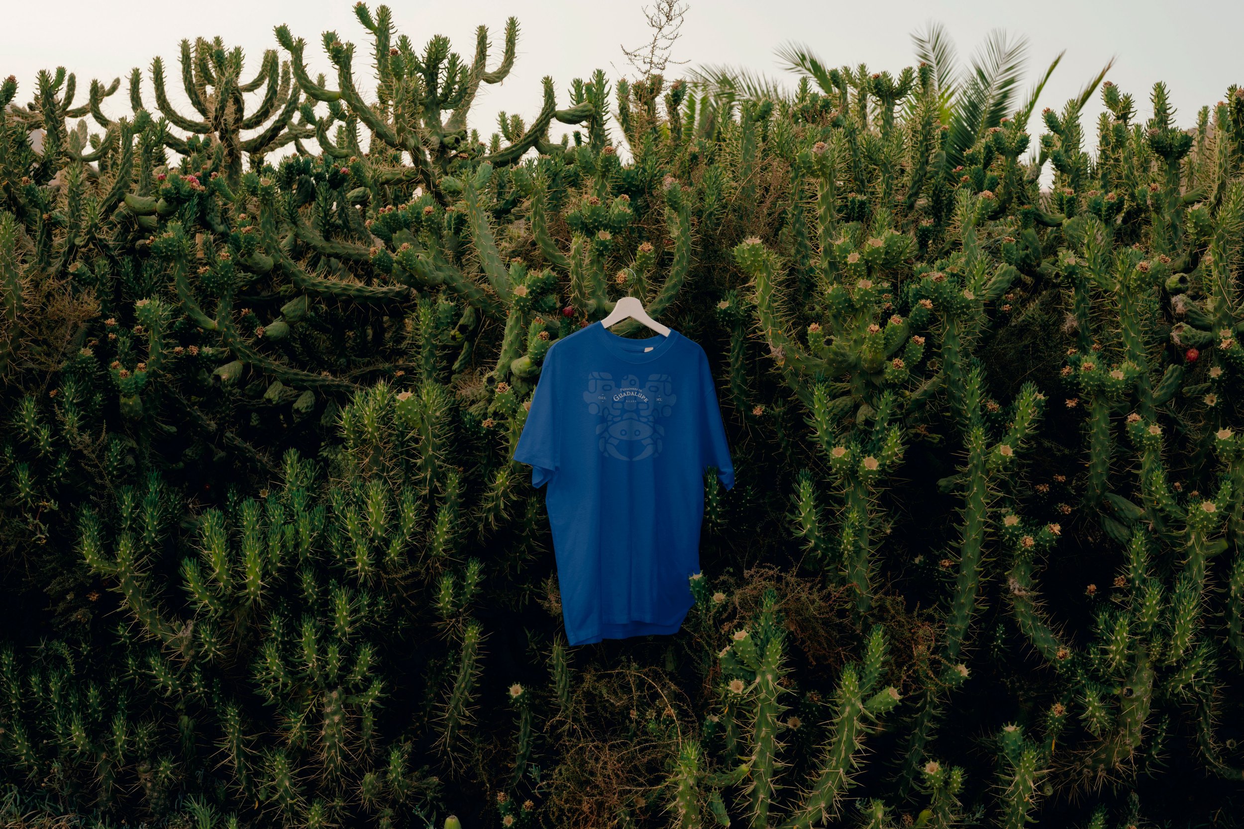 guadalupe-T_Shirt-01.jpg