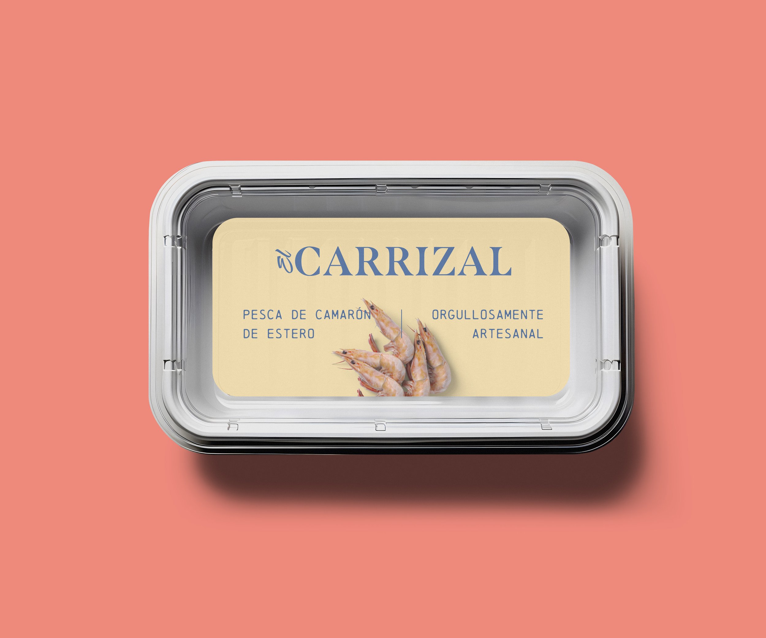 plastic-container-carrizal.jpg