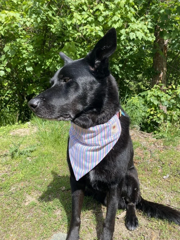 The White Striped "Zero-Waste" Dog Bandana