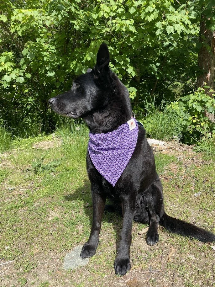 The Purple Geometric "Zero-Waste" Dog Bandana