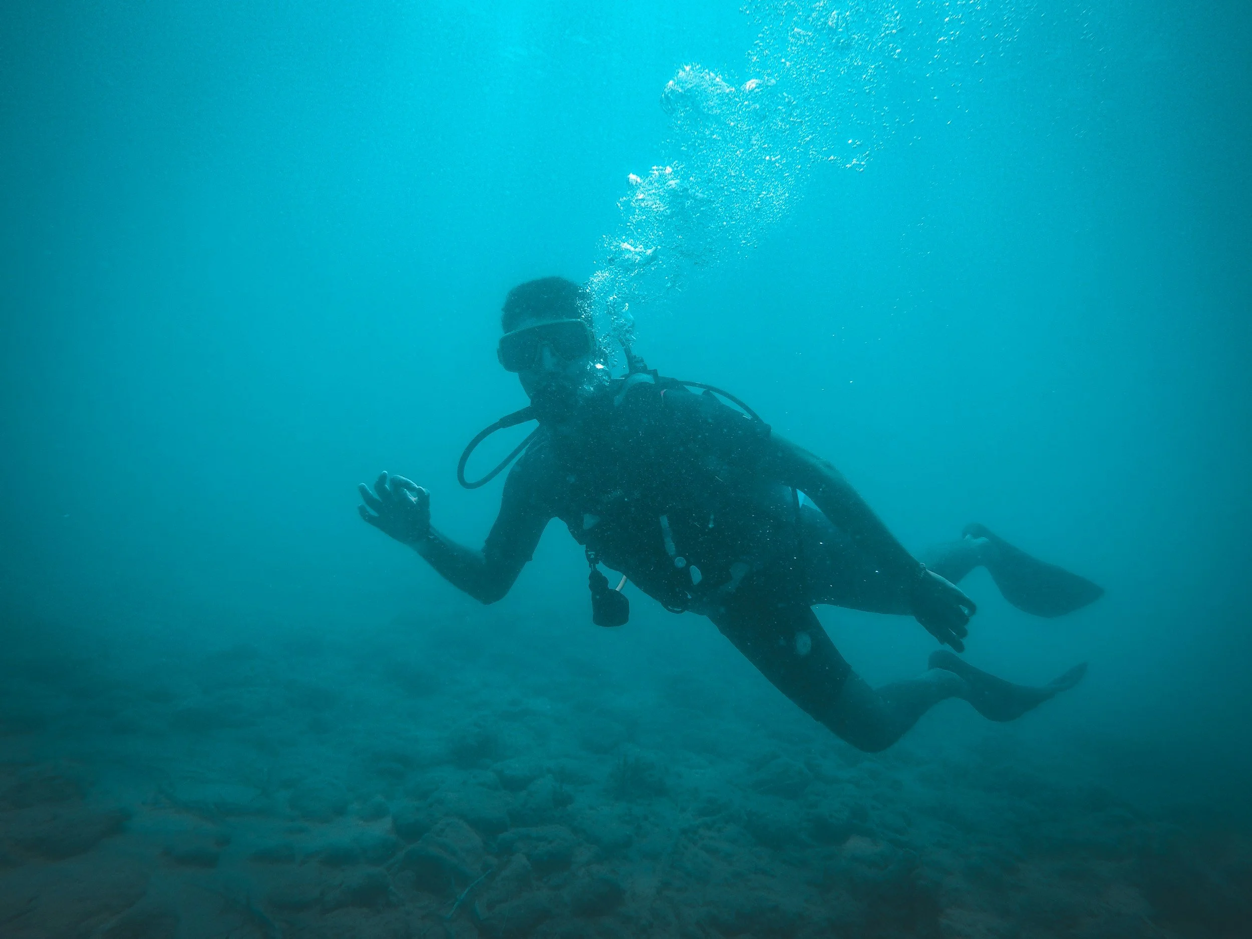 unsplash-image-FMv_4QzcqTo.jpg