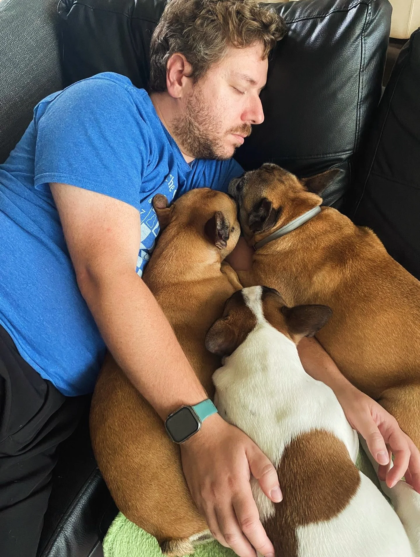The afternoons spent well. Together, with love!❤️ 

#frenchbulldog #frenchbulldogkennel #frenchbulldogpuppies #frenchbulldoglife #frenchbulldoglove #frenchbulldogbreeder #frenchbulldogofinstagram #frenchbulldoglife #frenchbulldogmoments #frenchie #fr