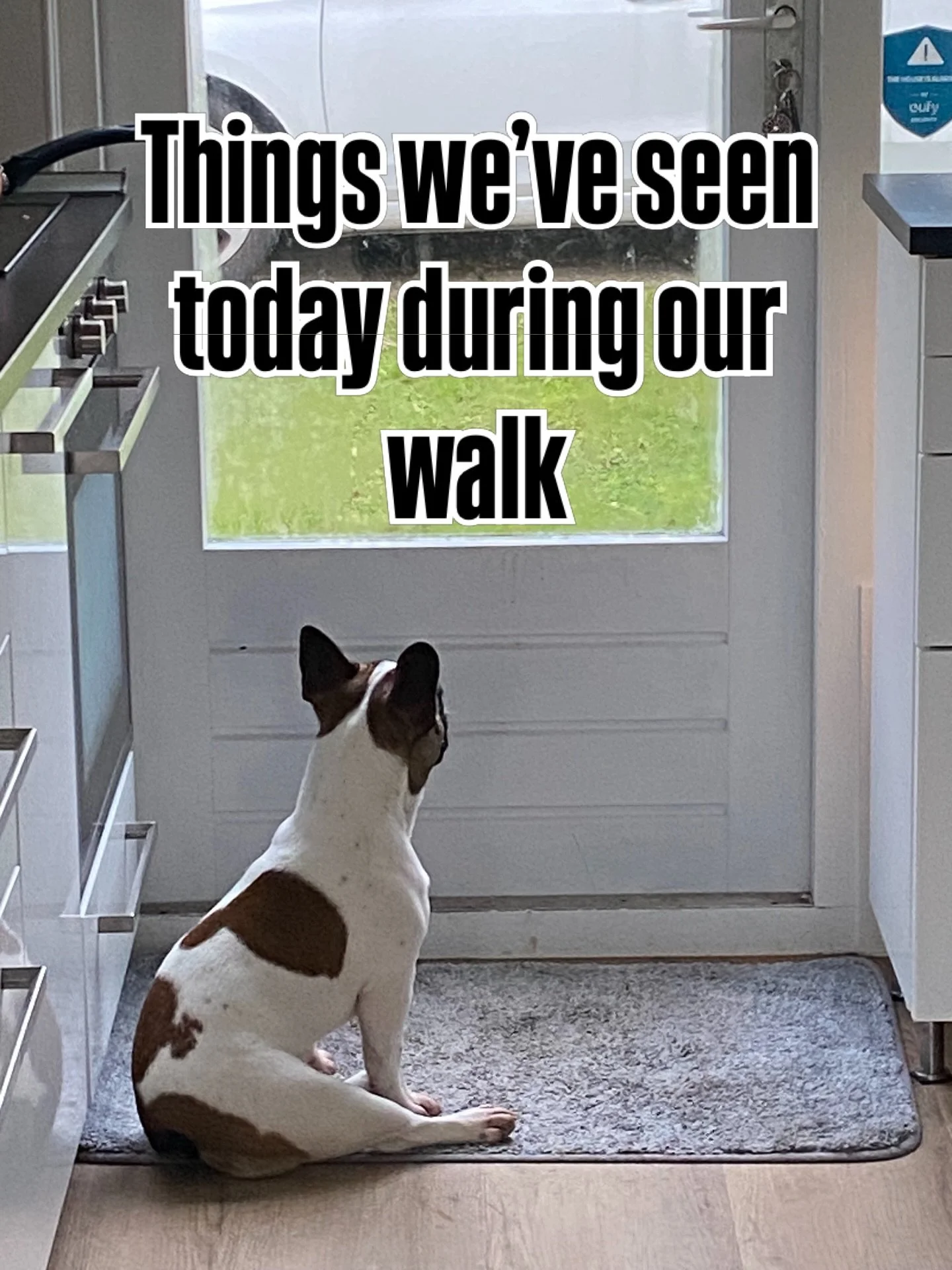 Things we&rsquo;ve seen today during our 1hr+ walk:

🌴the local beach #ouwerkerk 

🐇a black wild rabbit/hare. It started walking away as i took the picture🤦🏼&zwj;♂️😭

🦌very interested deers in the local park. I stepped on a crunchy walnut then 