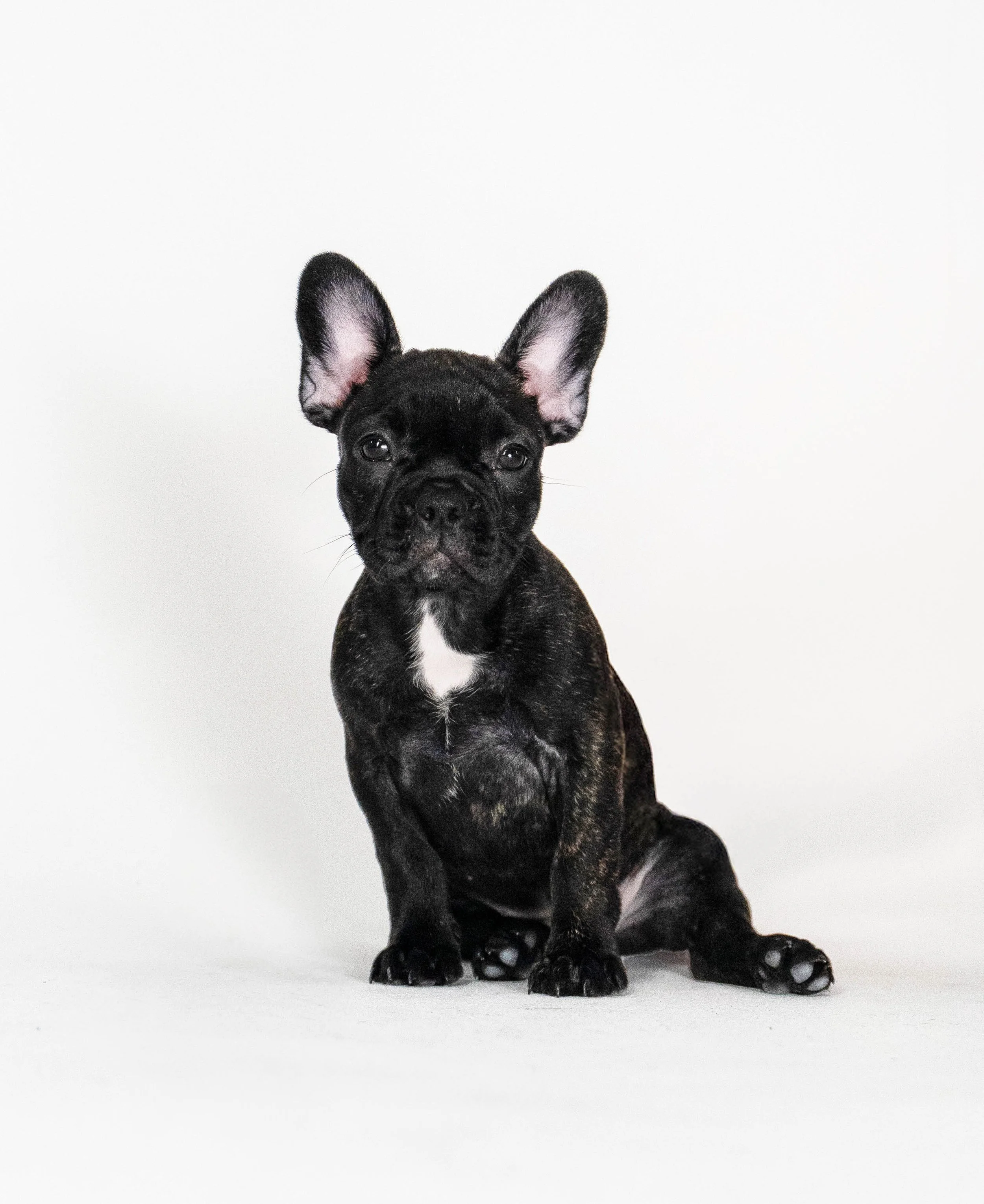 Patattekind "Bonbon" Suzie Toot