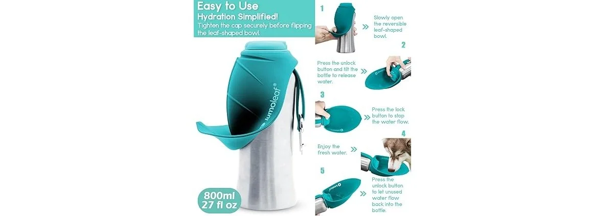 Dog Water bottle with dispenser