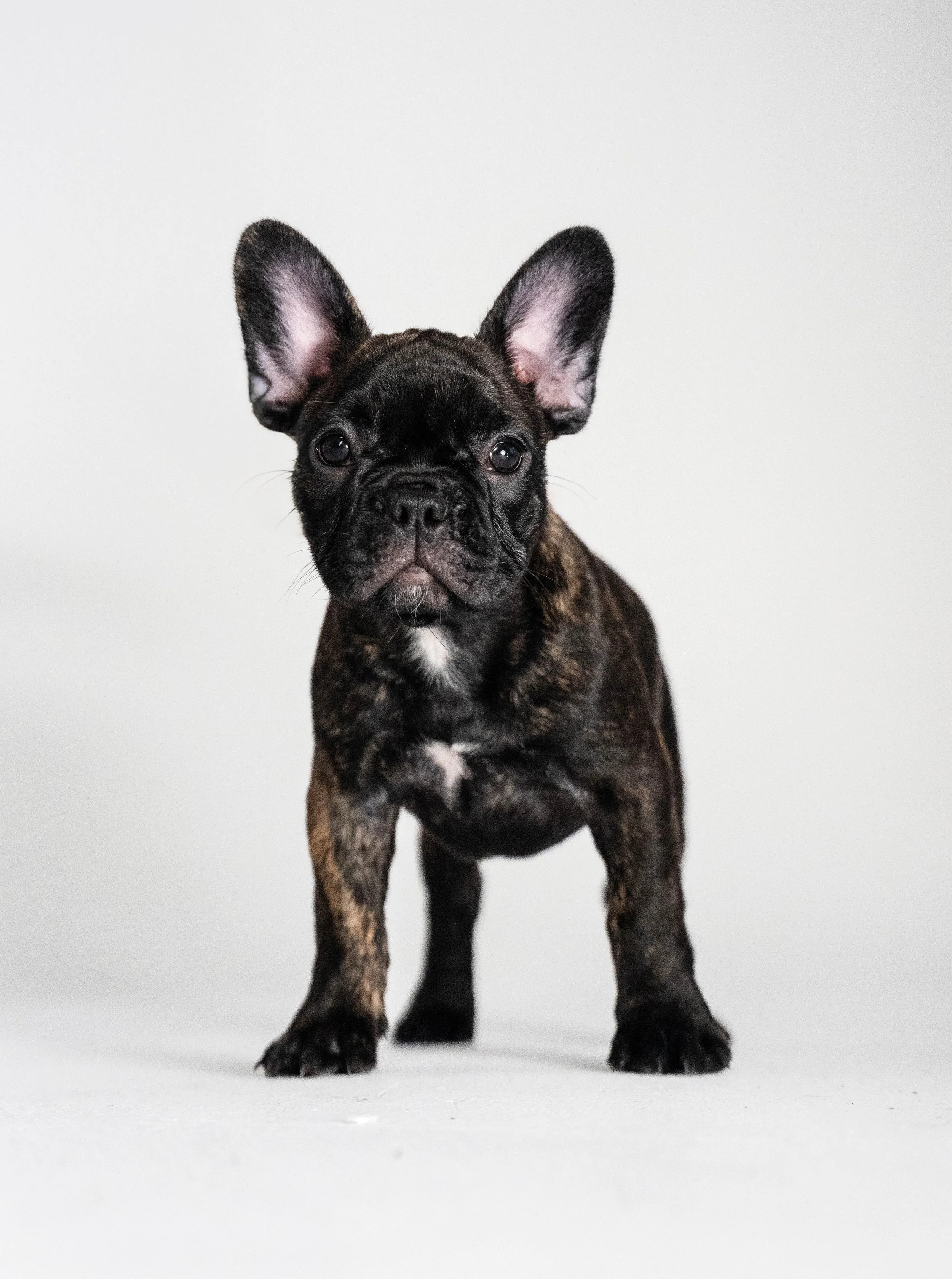 Patattekind "Betty" Monet Exchange