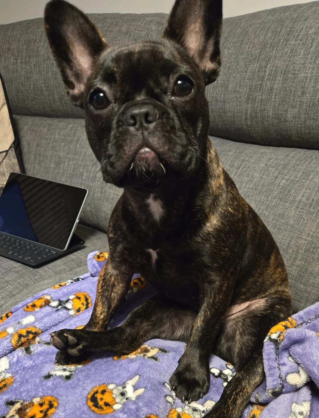 Patattekind Monet Exchange Betty