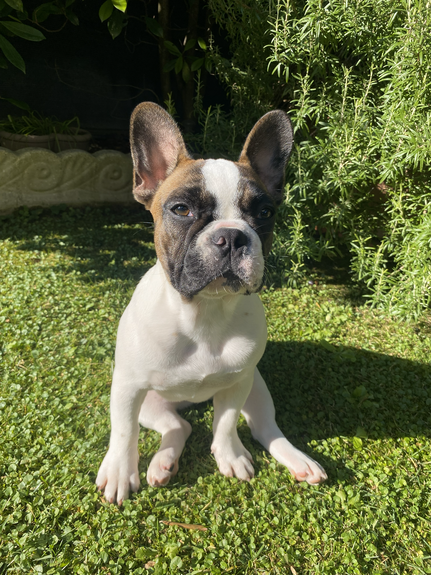 Patattekind Bianca Del Rio