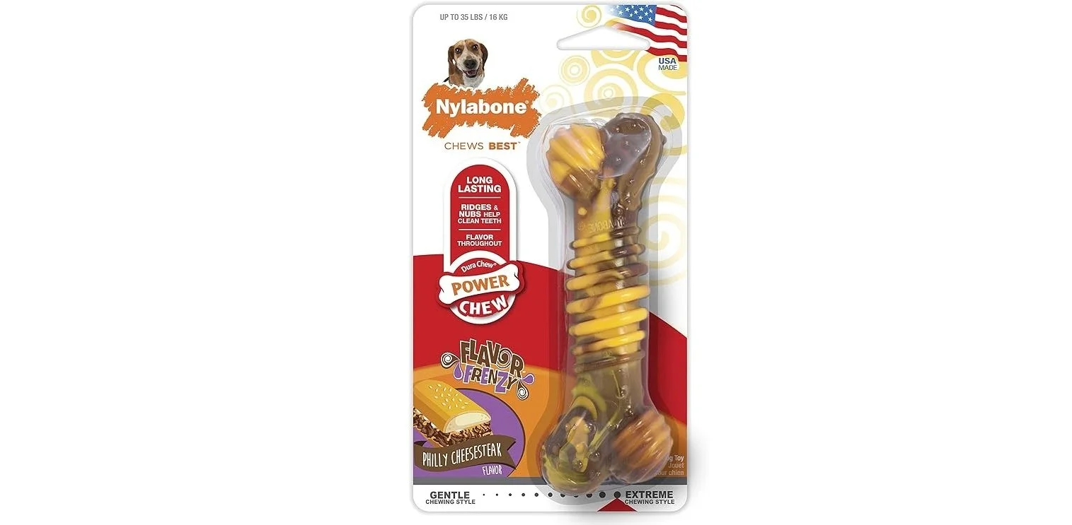 Nylabone chew toy
