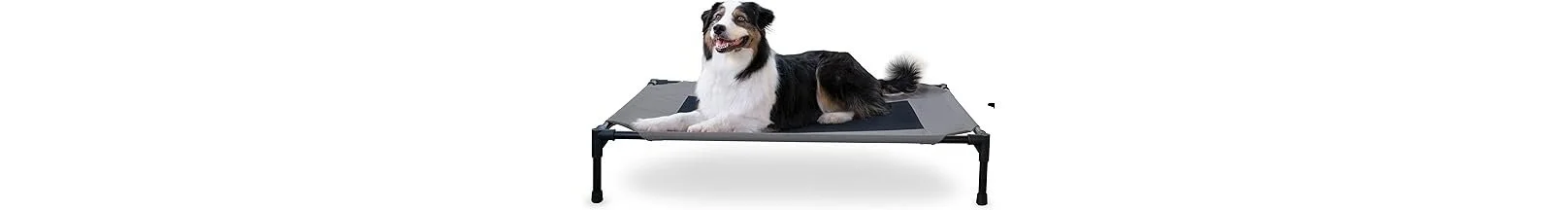 Outdoor Elevated Dog Bed