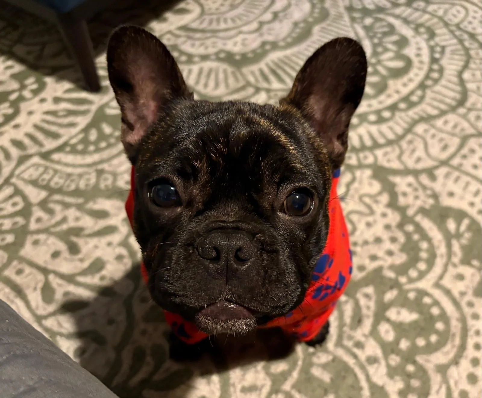 Patattekind Ben DeLaCreme