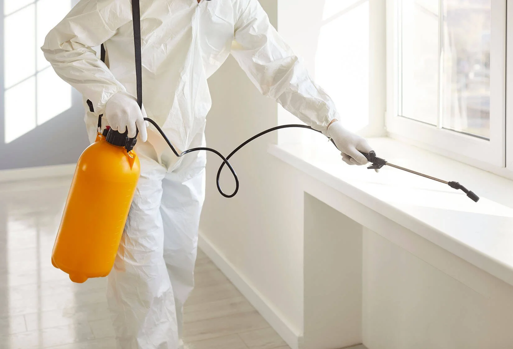 How Often Should Pest Control Be Done?