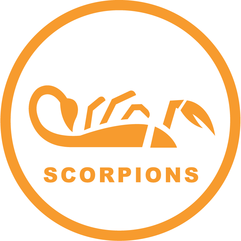 ZeroBugs_Icons-RGB_Scorpions.png