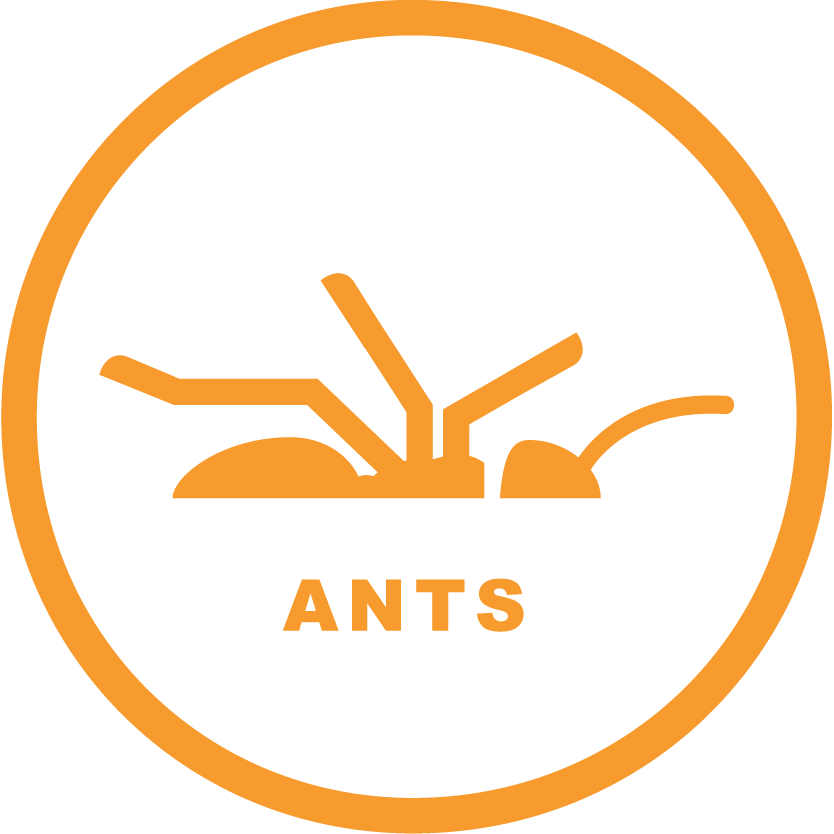ZeroBugs_Icons-RGB_Ants.png