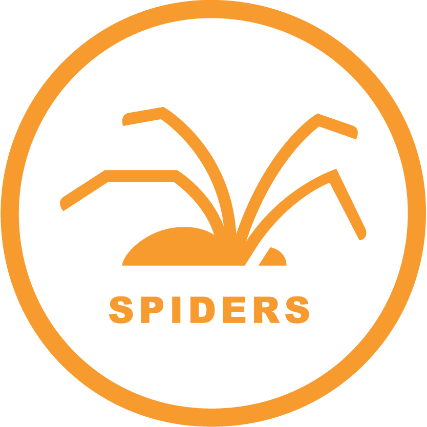 ZeroBugs_Icons-RGB_Spiders.png