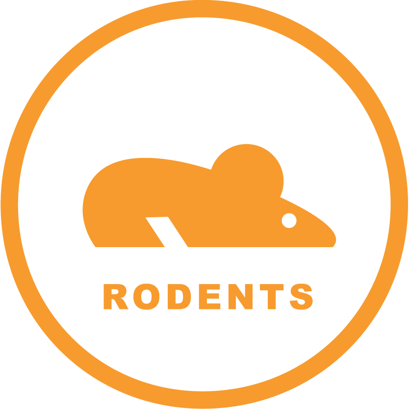 ZeroBugs_Icons-RGB_Rodants.png