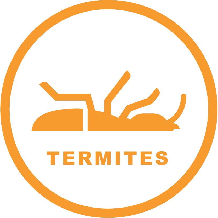 ZeroBugs_Icons-RGB_Termites.png