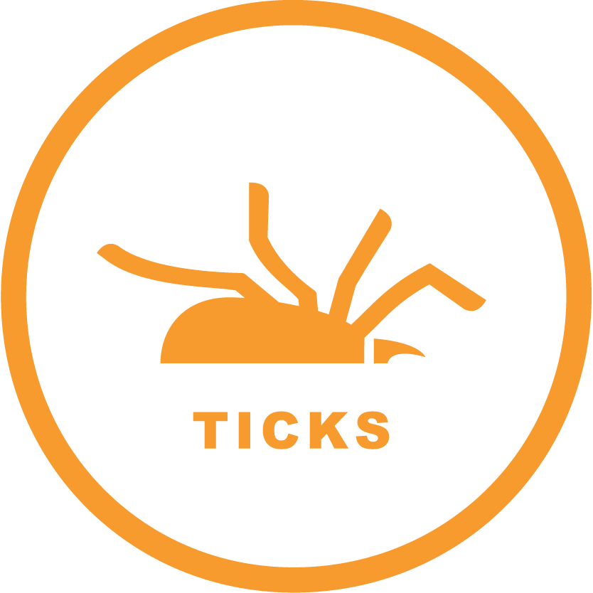 ZeroBugs_Icons-RGB_Ticks.png