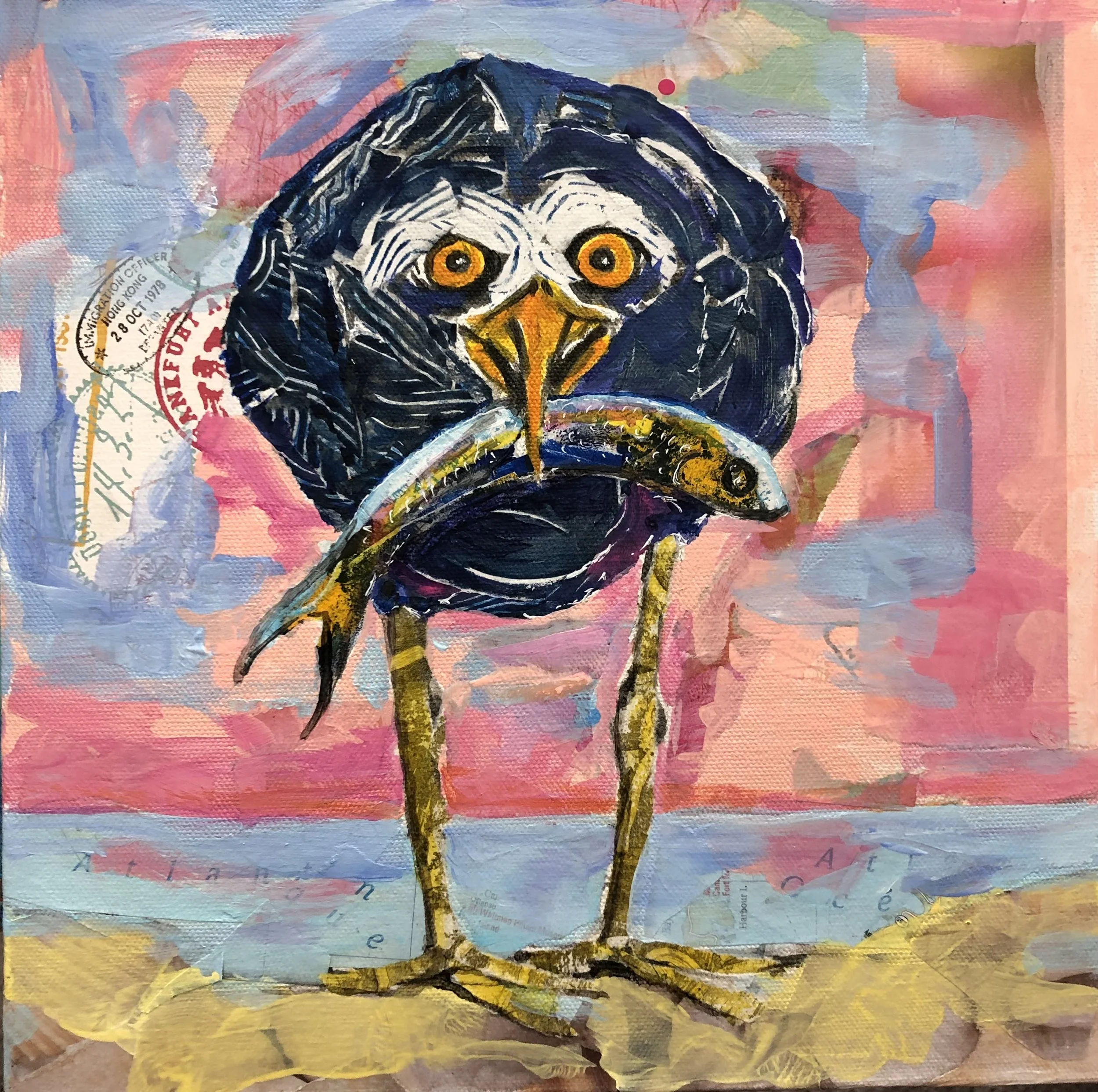 Last Fish Of The Day