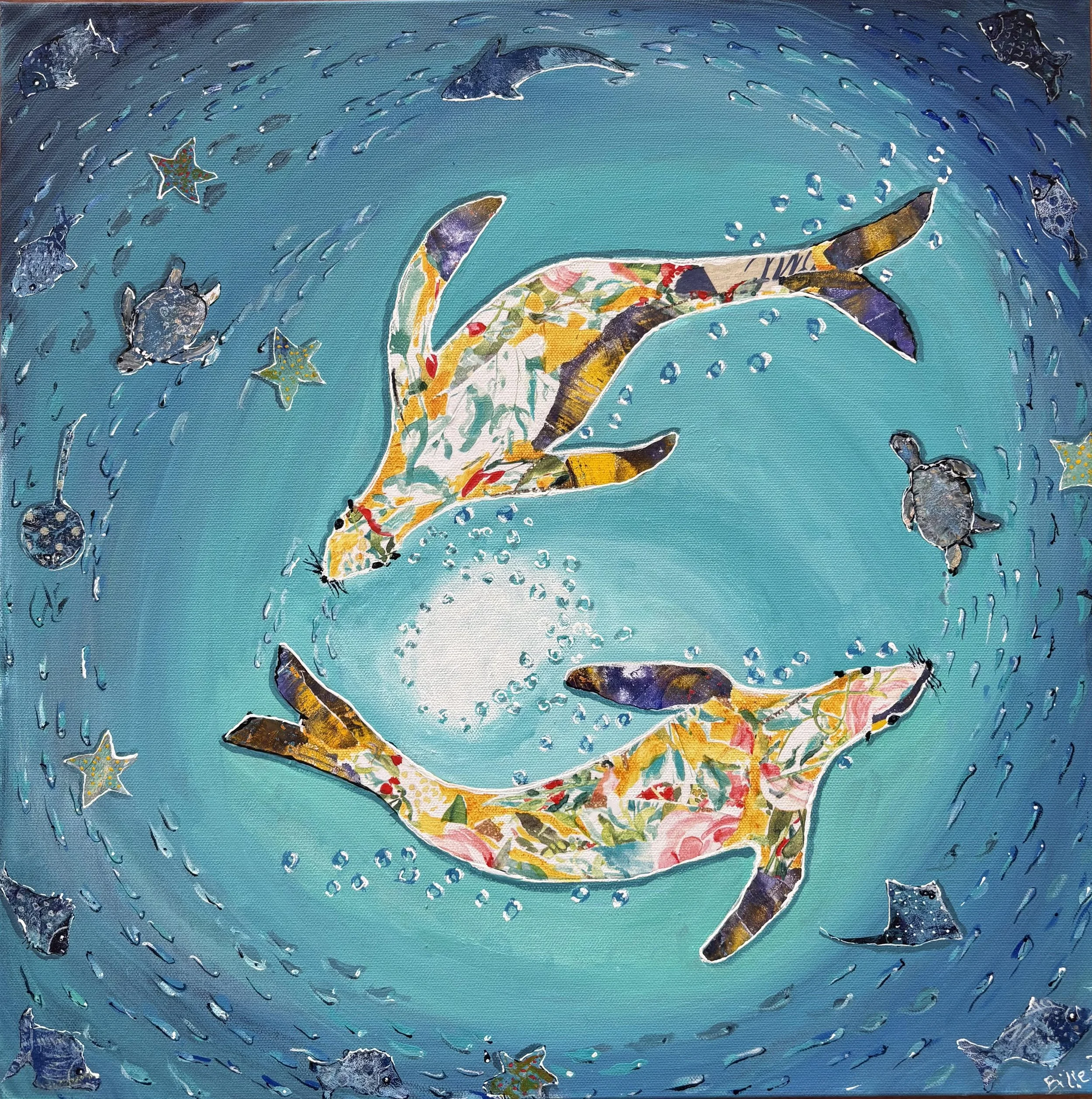 Galapagos Swirl - Where the Sea Lions Play