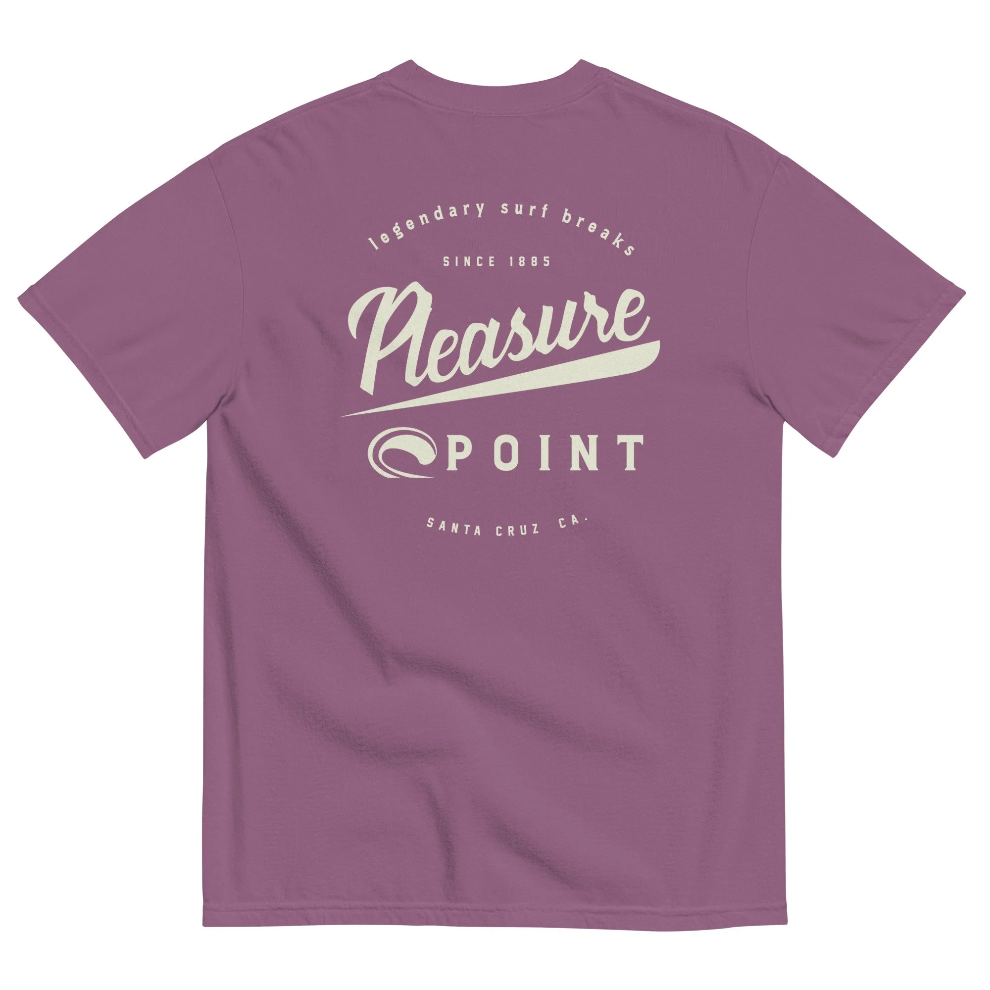 SCSTZ - Women's Pleasure Point Script T-Shirt 1