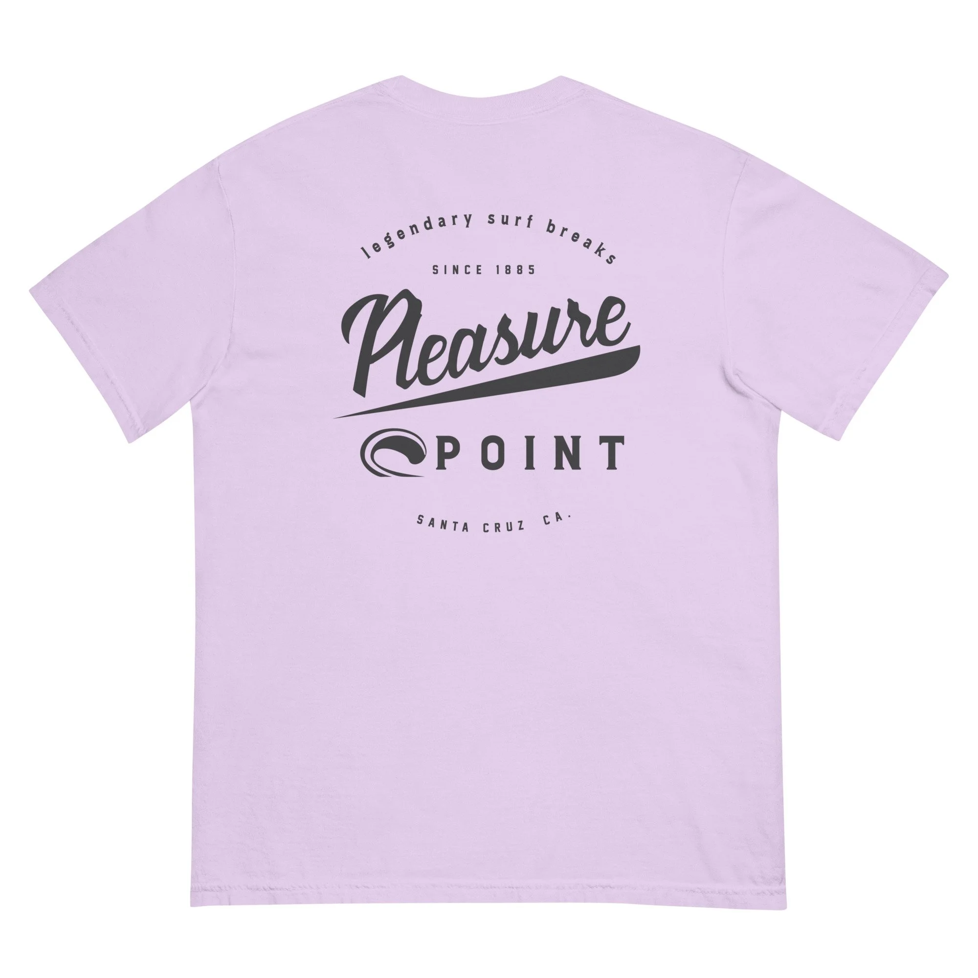 SCSTZ - Women's Pleasure Point Script Tee 2
