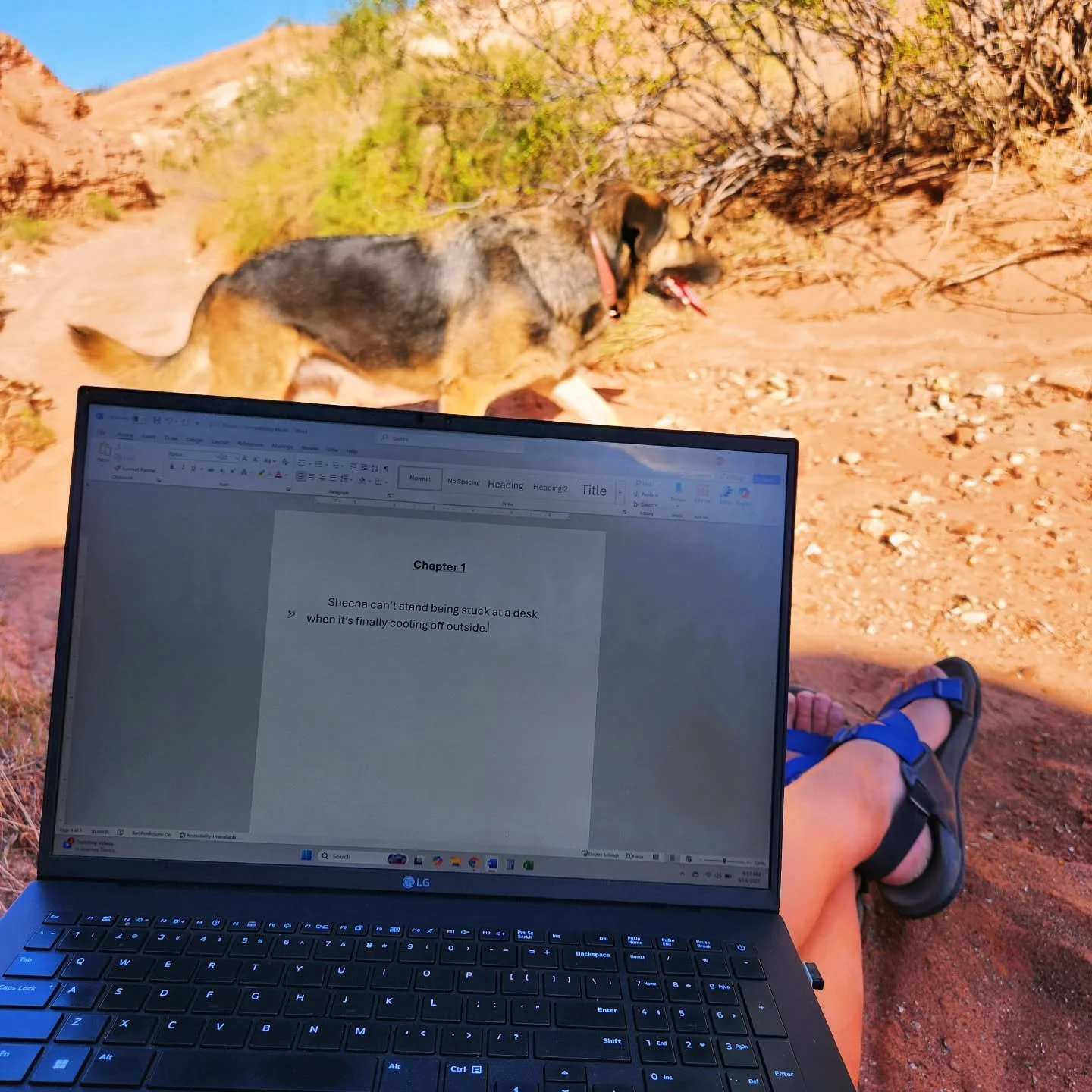 Anyone else tired of being at their desk when it's so nice out?
