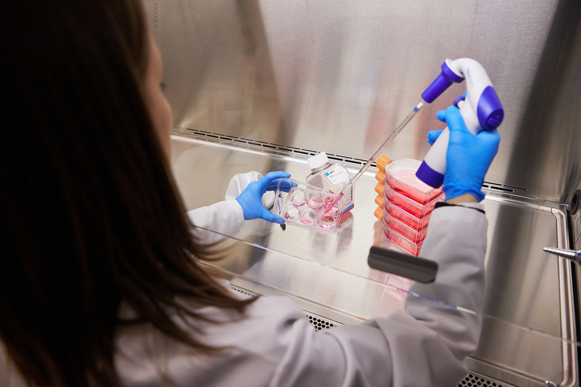 TCP_lab_closeup_6164_web.jpg