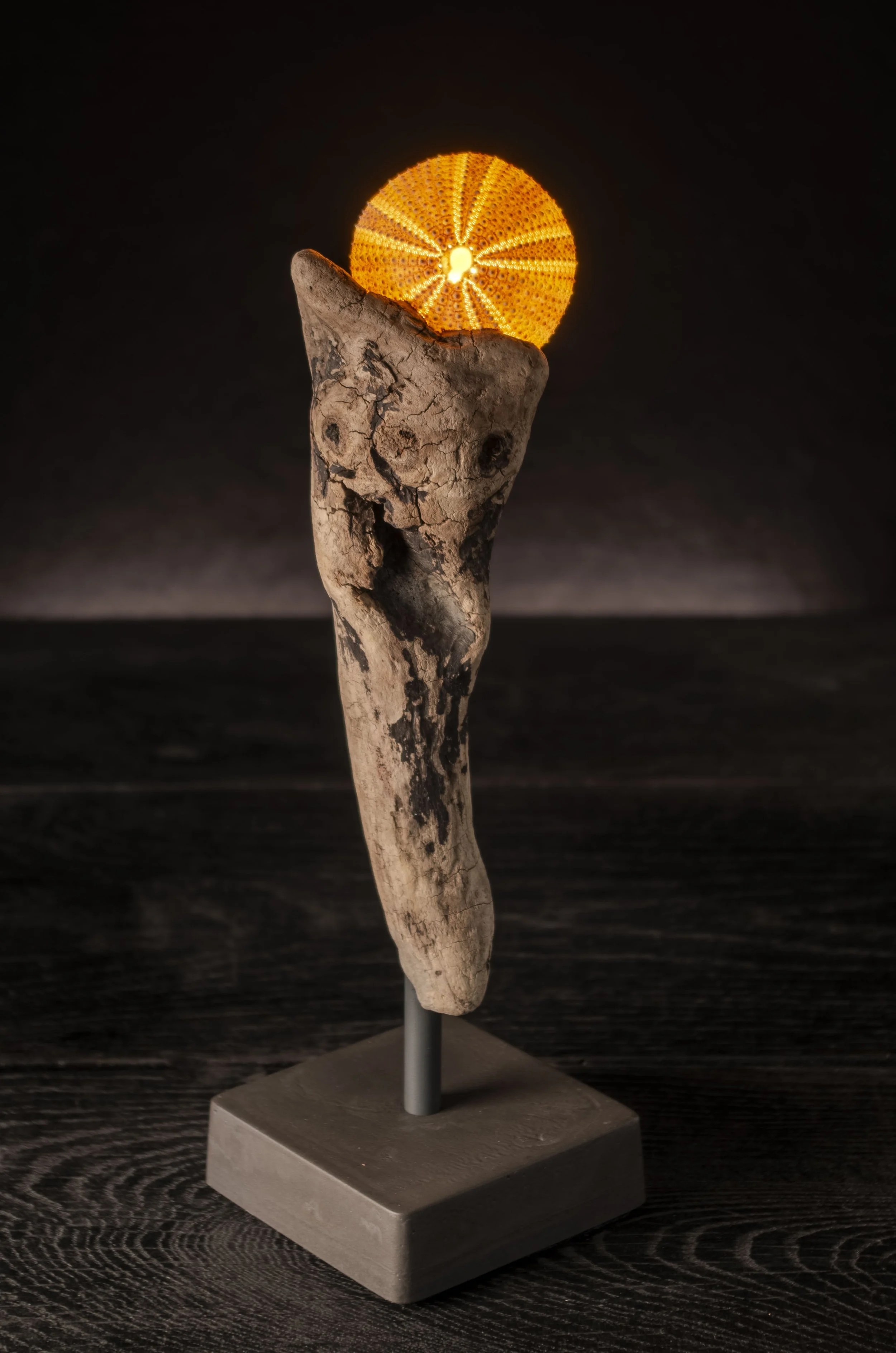 Nr.390 • 120€